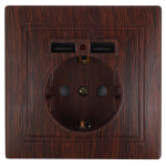 1-410-05  Розетка Intro Plano 1-410-05 с заземлением 2P+E Schuko со шторками 16А-250В + 2хUSB 5В-2 1