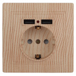 1-410-06  Розетка Intro Plano 1-410-06 с заземлением 2P+E Schuko со шторками 16А-250В + 2хUSB 5В-2 1